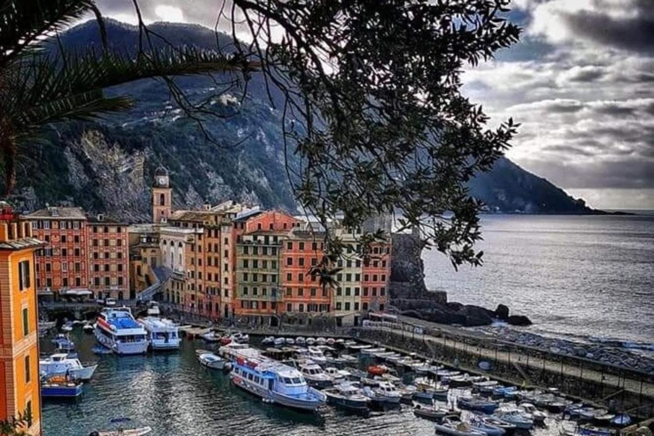 Rosablu Vacanza Tra Mare E Parco Di Portofino Camogli Zewnętrze zdjęcie