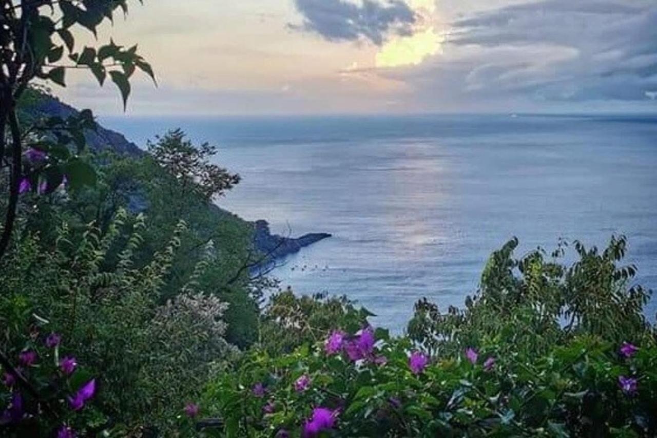 Rosablu Vacanza Tra Mare E Parco Di Portofino Camogli Zewnętrze zdjęcie