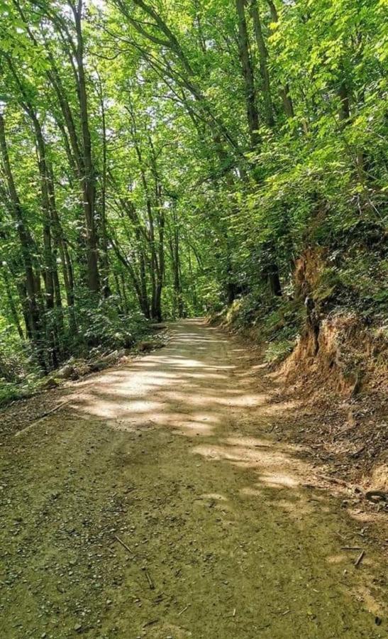 Rosablu Vacanza Tra Mare E Parco Di Portofino Camogli Zewnętrze zdjęcie