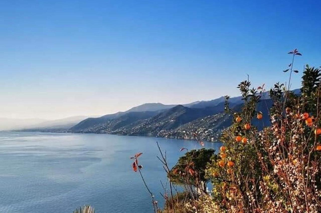 Rosablu Vacanza Tra Mare E Parco Di Portofino Camogli Zewnętrze zdjęcie