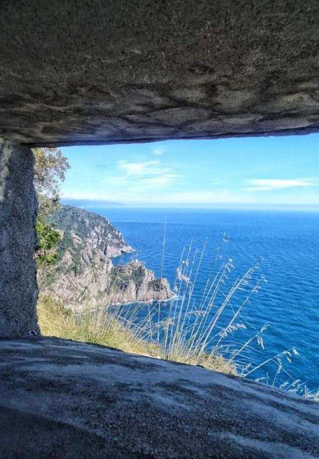 Rosablu Vacanza Tra Mare E Parco Di Portofino Camogli Zewnętrze zdjęcie